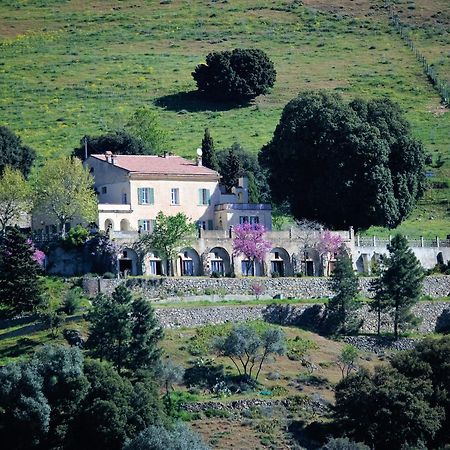 La Ventulella Bed & Breakfast Moltifao Екстериор снимка