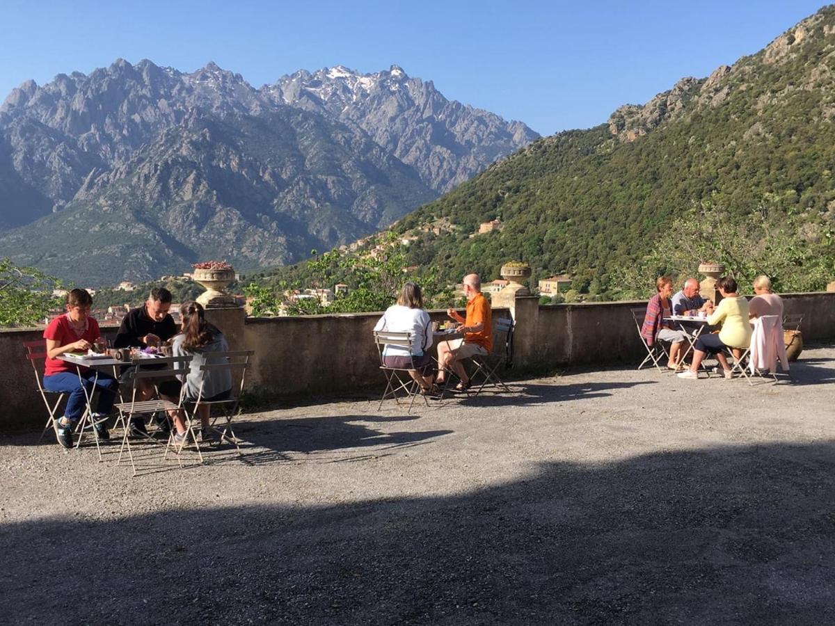 La Ventulella Bed & Breakfast Moltifao Екстериор снимка