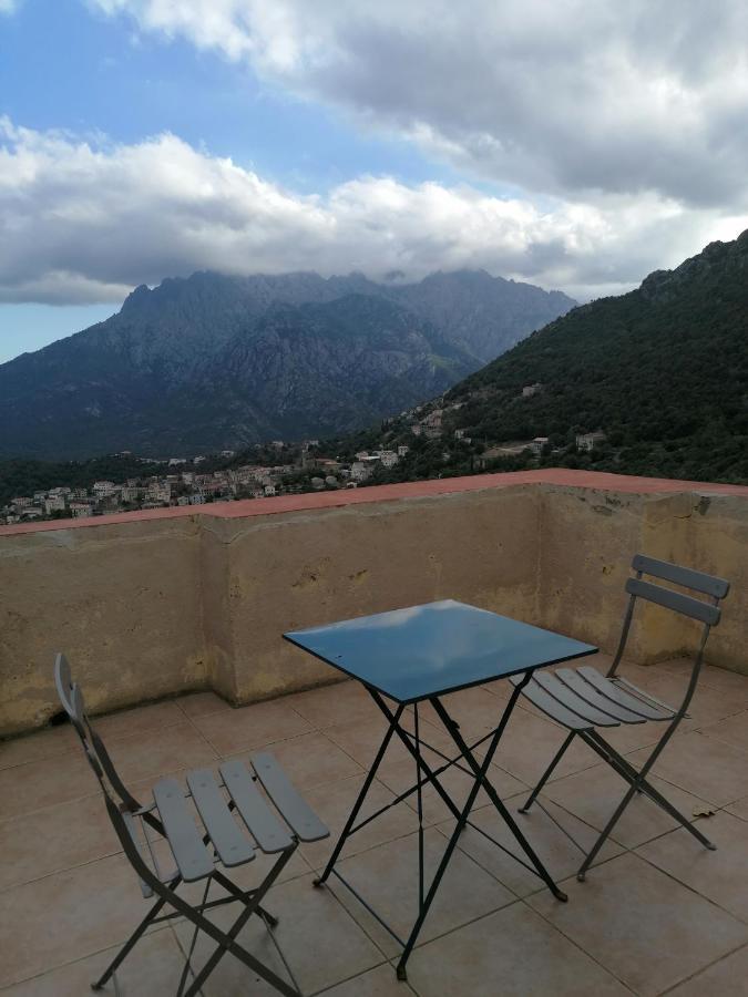 La Ventulella Bed & Breakfast Moltifao Екстериор снимка