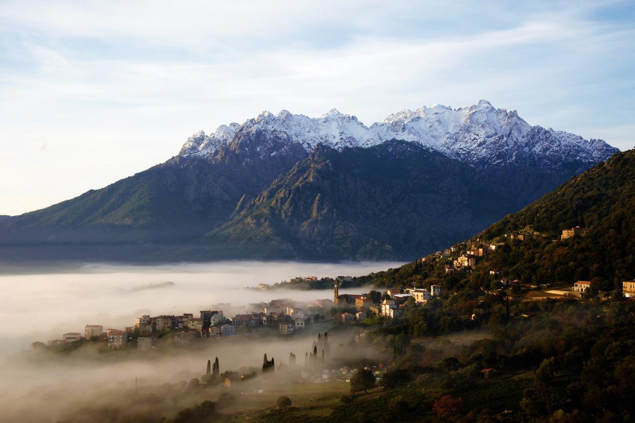 La Ventulella Bed & Breakfast Moltifao Екстериор снимка