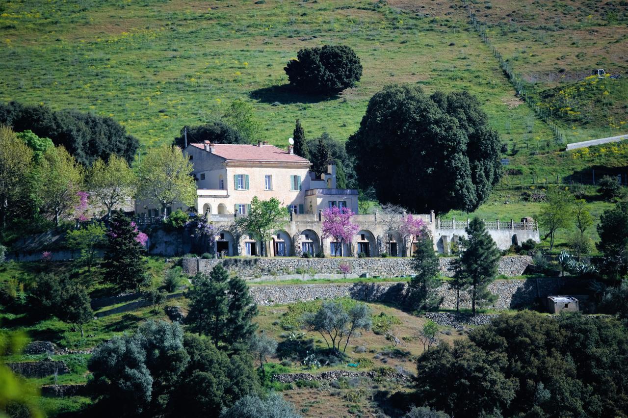 La Ventulella Bed & Breakfast Moltifao Екстериор снимка